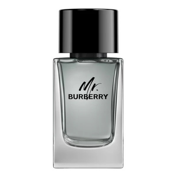 Burberry Mr. Burberry Eau de Toilette for Men – 100ml