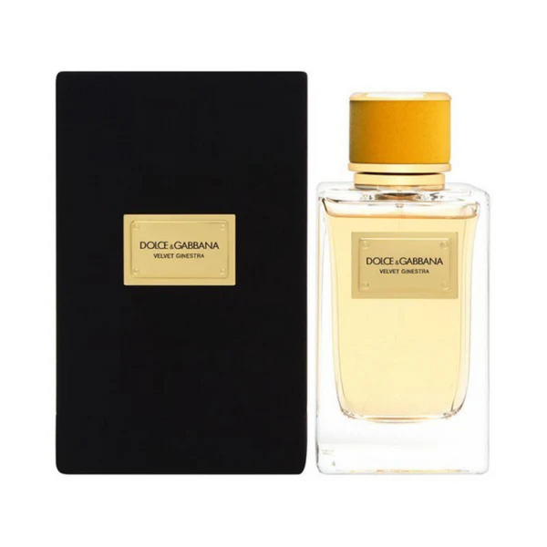 D&G Velvet Ginestra Eau de Parfum for Women – 150ml